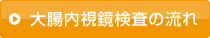 大腸内視鏡検査の流れ